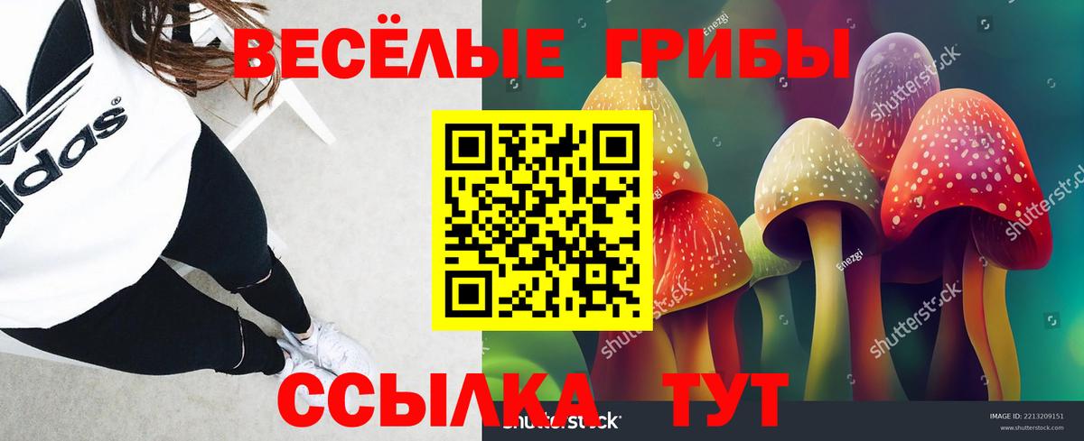 Галлюциногенные грибы Magic Shrooms Североморск