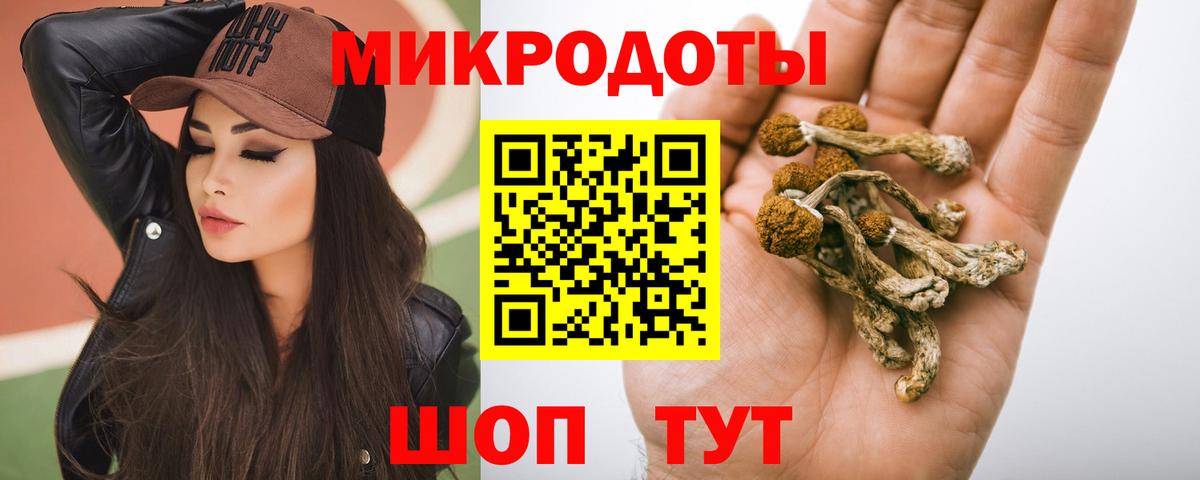 Псилоцибиновые грибы мицелий  Вход с VPN  Североморск 